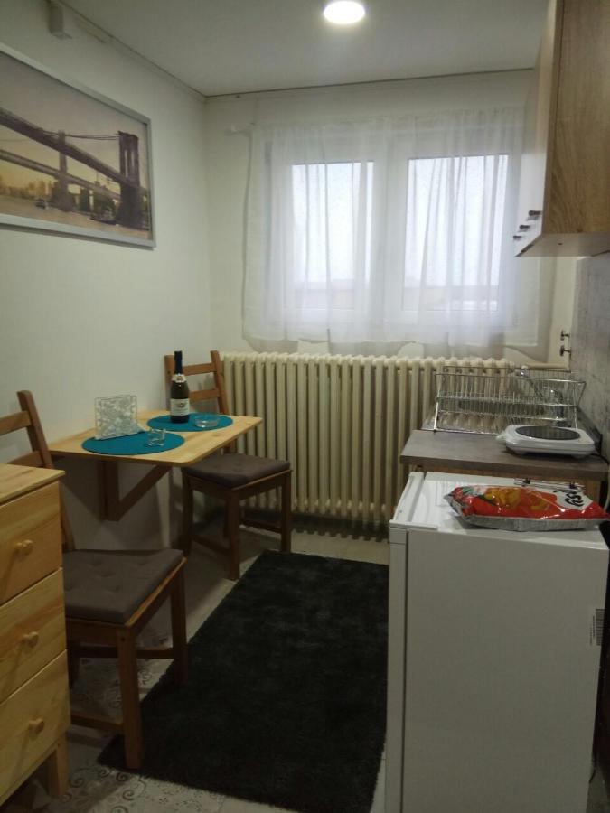 Tatjanina Garsonjera Appartement Subotica Buitenkant foto